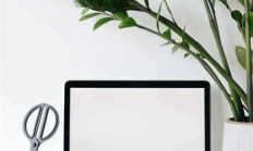 采耳加盟哪个好？天涯老哥推荐这些宝藏品牌！