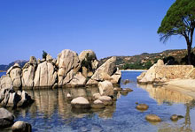 天涯社区探秘三亚的魅力