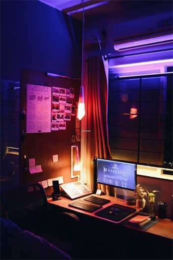 狗狗爱爱661在天涯社区的奇妙故事 第1张 狗狗爱爱661在天涯社区的奇妙故事 第1张